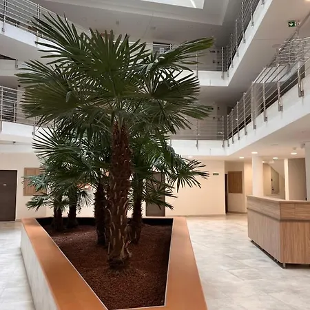 Panorama View In Center *
